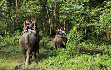 फाइल तस्बिर।